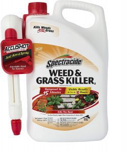 Spectracide AccuShot Sprayer Weed & Grass Killer