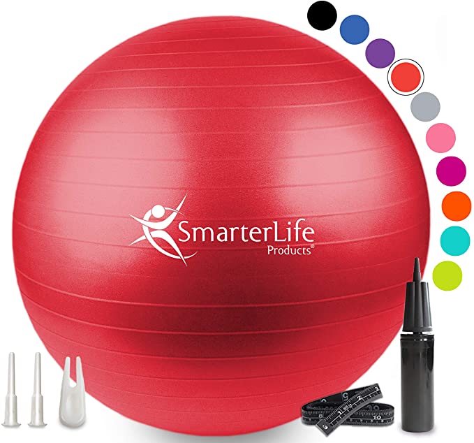 SmarterLife Anti-Burst Balance Ball