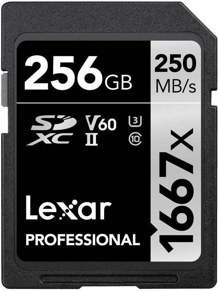 Lexar High Speed Camera Memory Card, 256GB
