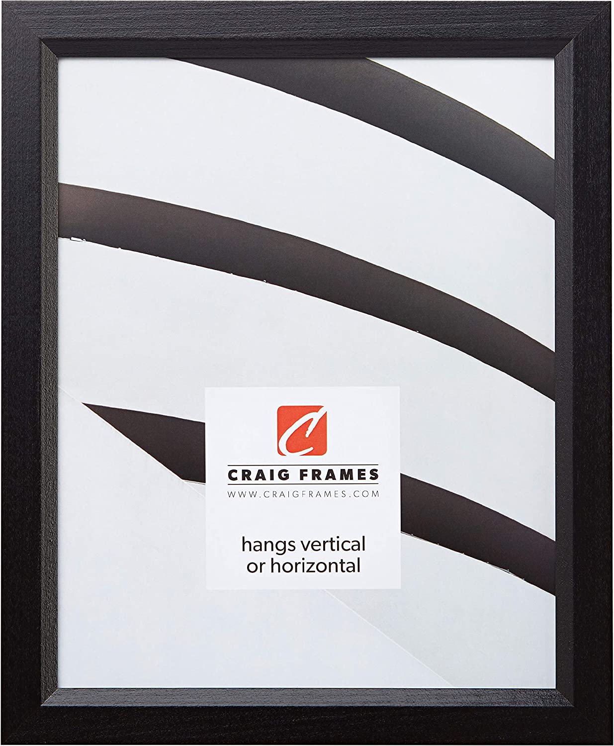 Craig Frames Traditional Horizontal/Vertical 8 x 11 Picture Frame