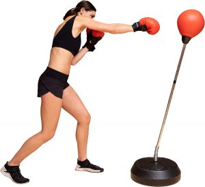Protocol Boxing Gloves & Inflatable Ball Punching Bag