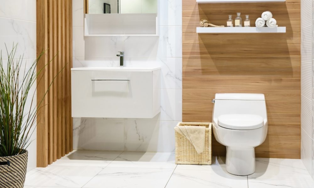 Modern spacious bathroom with toilet