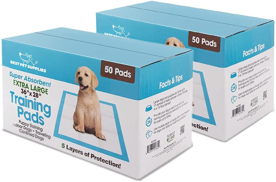 Best Pet Supplies Absorbent Quick-Dry Pee Pads For Dogs, 50-Count