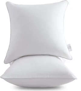 Oubonun Zipper Skin-Friendly 20 x 20 Pillow Insert, Set Of 2