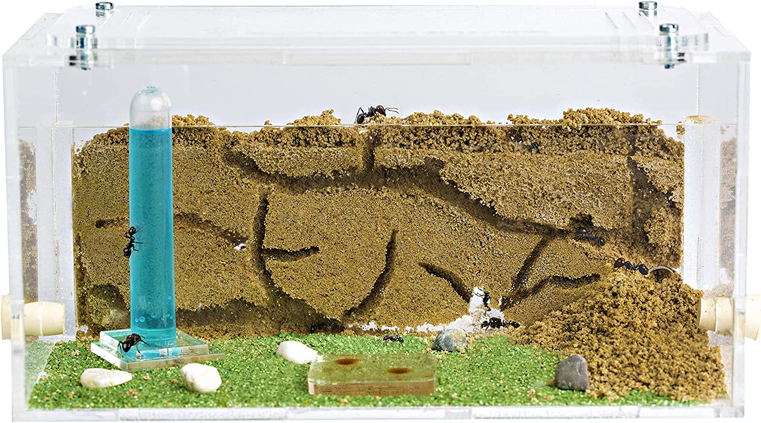 AntHouse Professional Eco-Friendly Ant Farm