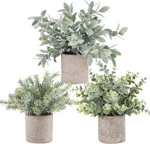 Der Rose Mini Potted Fake Eucalyptus Plants, 3 Pack