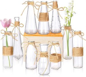 Nilos Unique Glass Bud Vases Wedding Decorations, 10 Piece