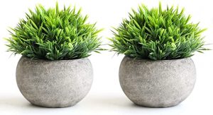 THE BLOOM TIMES Fake Greenery Plants Cement Look Planter