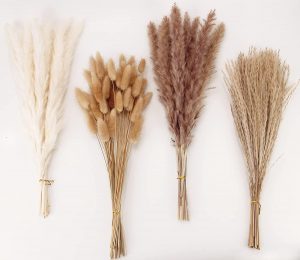 ANPROOR Dried Pampas & Reed Grass Boho Decor, 100-Piece