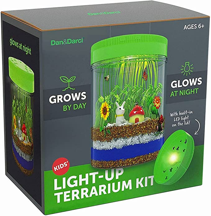 Dan&Darci STEM Activity Light-Up Terrarium Kit
