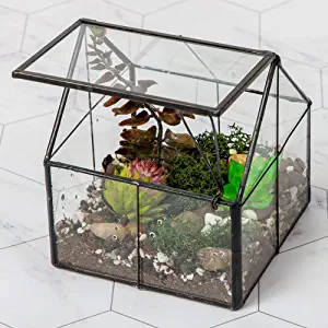 Ferrisland Glass Tabletop Lidded Greenhouse Terrarium
