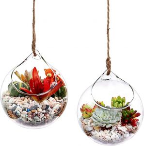Ivolador Hanging Plants Globe Shap Glass Terrarium