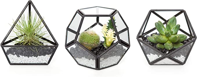 Mkono Mini Tabletop Glass Geometric Terrarium Set, 3 Piece