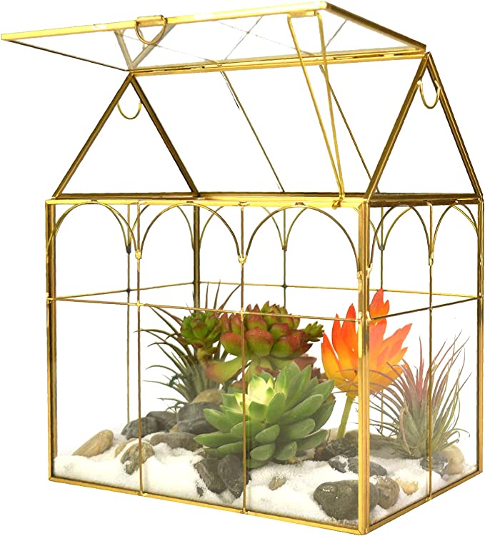 Yimorence Glass Lidded Greenhouse Terrarium