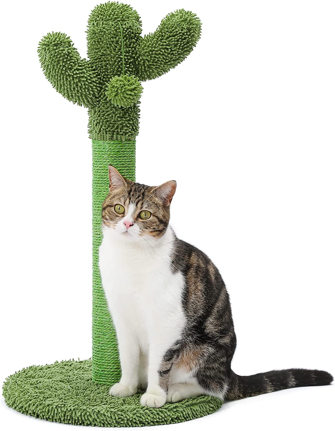 Made4Pets Decorative Cactus Shape Cat Scratching Post