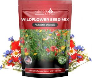 NatureZ Edge GMO-Free Spring-Time Wildflower Seeds