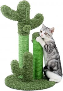 PAWZ Road Cactus Shape Sisal Rope Cat Scratching Post