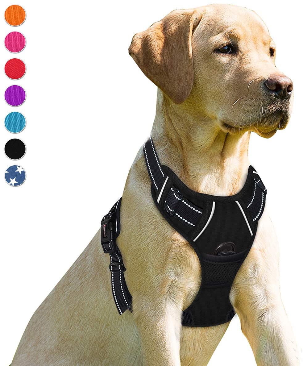 BARKBAY Adjustable Nylon Walking Harness Dog Accessory