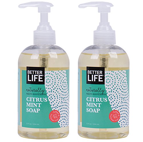Better Life Soothing Sulfrate-Free Natural Hand Soap, 2-Pack