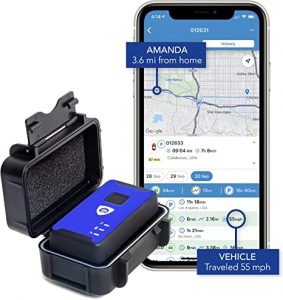 Brickhouse Security Hidden Real Time LTE GPS Tracker for Vehicles