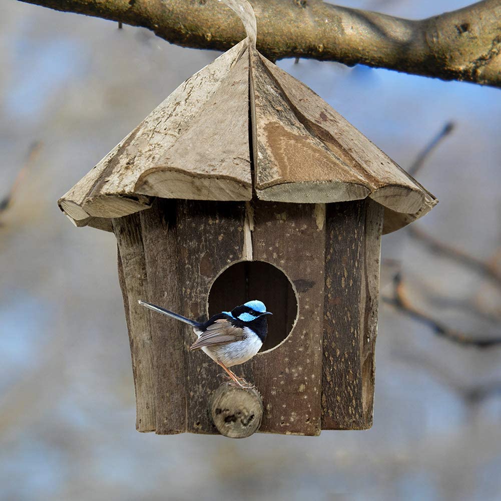Flying Spoon Handmade Wooden Hanging Bird House
