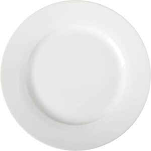 Amazon Basics Freezer Safe Porcelain Dinner Plates, 6-Piece