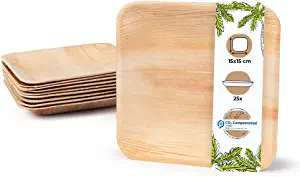 BIOZOYG Biodegradable Palm Leaf Square Appetizer Plates, 25 Count