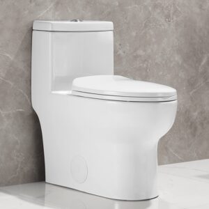 DeerValley Ceramic Modern Toilet