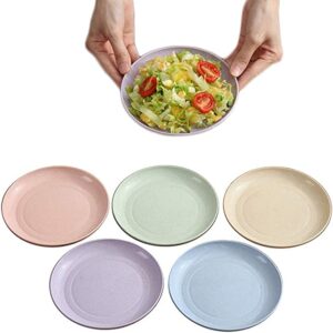 SNOMEL Eco-Friendly Reusable Wheat Straw Appetizer Plates, 5 Count