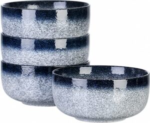 S&Q’S CERAMICS Japanese Noodle Ceramic Bowls, 4 Piece