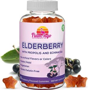 Flamingo Supplements Vegan Elderberry Gummy Vitamin, 60-Count