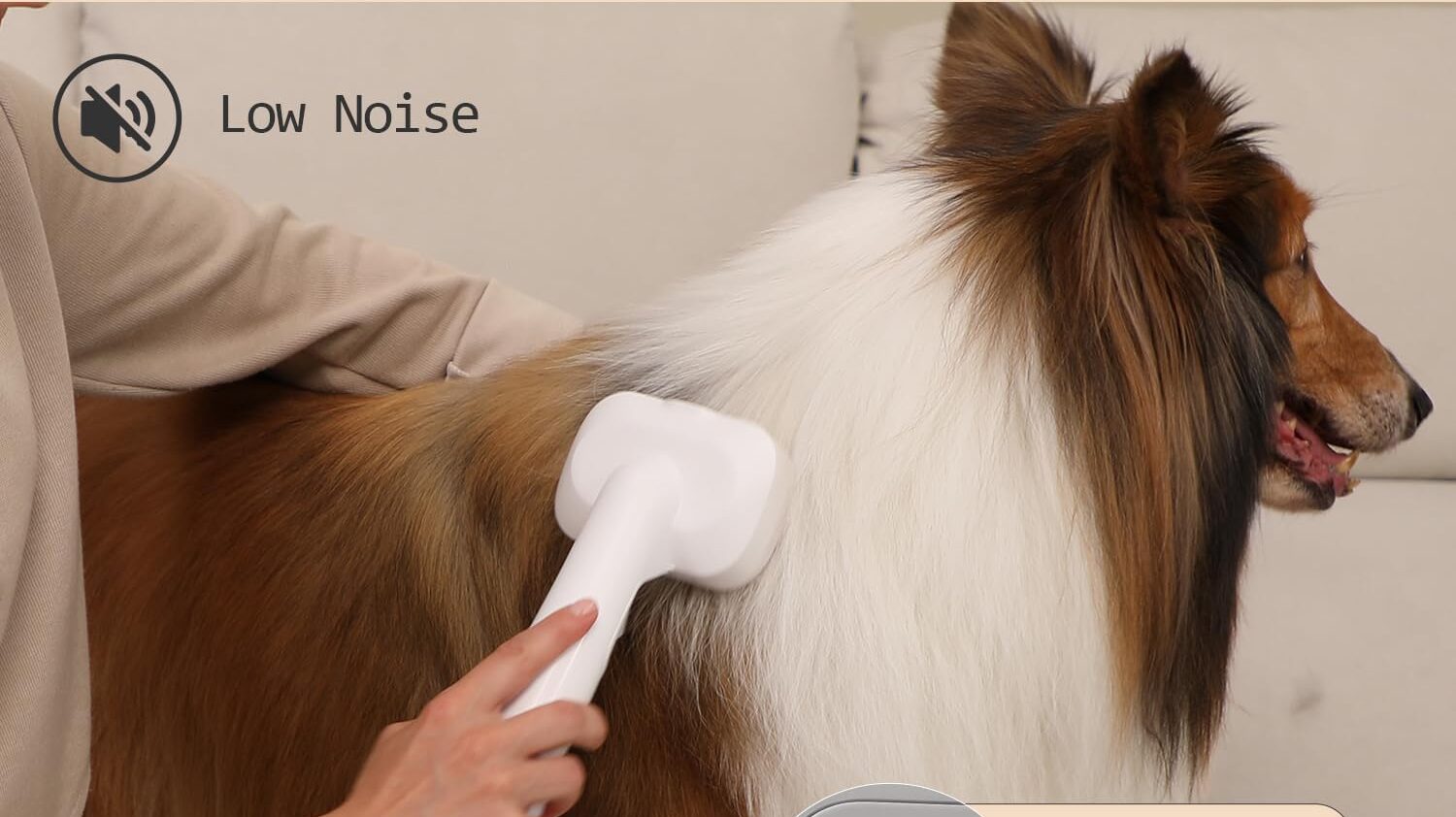 Pet owner uses grooming vac on dog