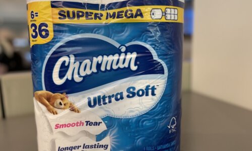 package of Charmin toilet paper sitting on counter