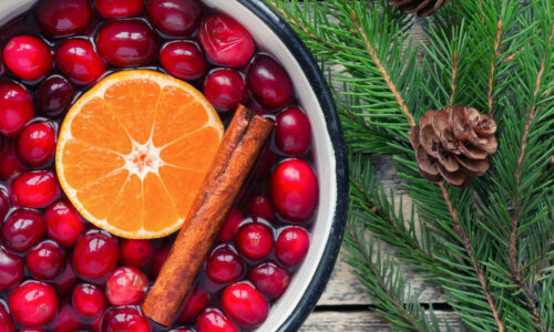 pot of cranberries with orange slive and cinnamon next to greenery and pine cone