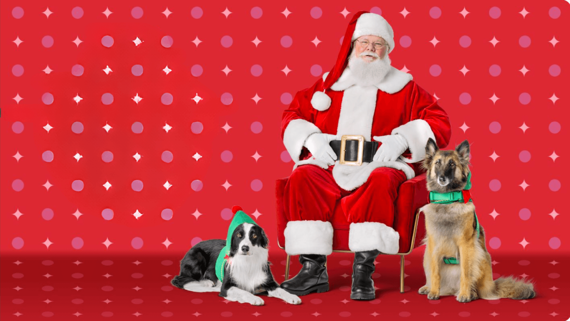 Holiday photo of Santa posing with two dogs.