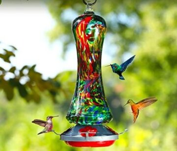 Hummingbirds feed from a glass hummingbird feeder.
