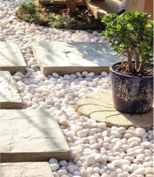 White rocks used to decorate outdoor garden. Stones are surrounded by 5 square blocks and a small plant in a planter