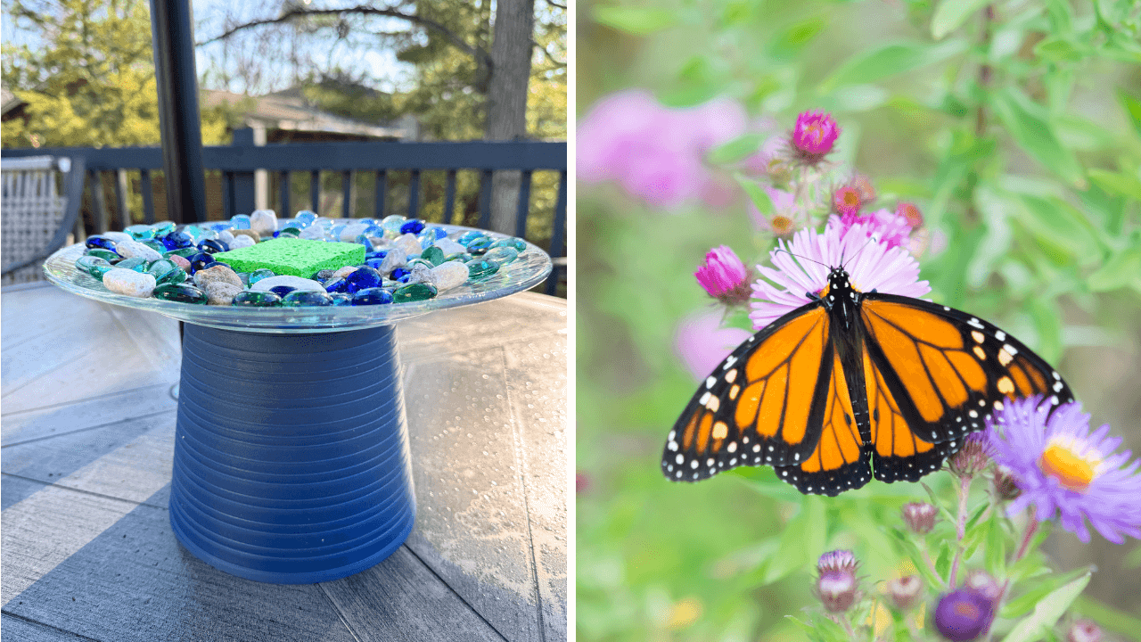 How to make a $5 butterfly bath using items from the dollar store