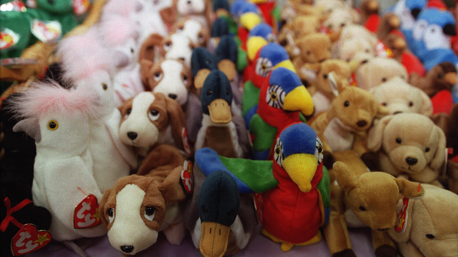 Your old Beanie Babies could be worth thousands
