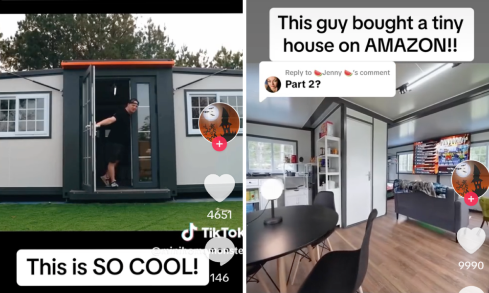 viral tiny home